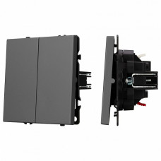 Выключатель двухклавишный без рамки Arlight SWT 054254
