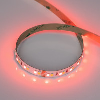 Лента светодиодная Arlight RT-A168 056877