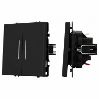 Выключатель двухклавишный без рамки Arlight SWT 054264