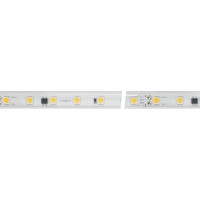 Лента светодиодная Arlight  027059(2)