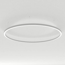 Подвесной светильник Arlight ARC 034013(2) Подвесной светильник Arlight ARC 034013(2)