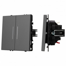 Выключатель двухклавишный без рамки Arlight SWT 054266