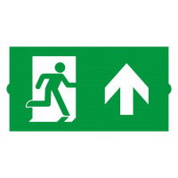 Пиктограмма Arlight EMERGENCY 046669
