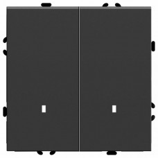 Выключатель двухклавишный с подсветкой без рамки Stekker RSW10-5102-05 49838